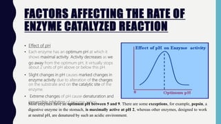 FACTORS AFFECTING THE RATE OF
ENZYME CATALYZED REACTION
• Effect of pH
• Each enzyme has an optimum pH at which it
shows maximal activity. Activity decreases as we
go away from the optimum pH, it virtually stops
about 2 units of pH above or below this pH.
• Slight changes in pH causes marked changes in
enzyme activity due to alteration of the charges
on the substrate and on the catalytic site of the
enzyme.
• Extreme changes of pH cause denaturation and
irreversible inhibition of enzyme actionMost enzymes have an optimum pH between 5 and 9. There are some exceptions, for example, pepsin, a
digestive enzyme in the stomach, is maximally active at pH 2, whereas other enzymes, designed to work
at neutral pH, are denatured by such an acidic environment.
 