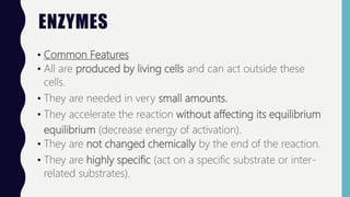 ENZYMES
• Common Features
• All are produced by living cells and can act outside these
cells.
• They are needed in very small amounts.
• They accelerate the reaction without affecting its equilibrium
equilibrium (decrease energy of activation).
• They are not changed chemically by the end of the reaction.
• They are highly specific (act on a specific substrate or inter-
related substrates).
 