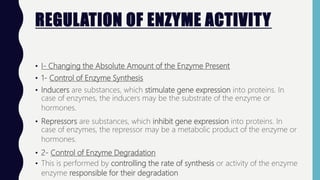 REGULATION OF ENZYME ACTIVITY
• I- Changing the Absolute Amount of the Enzyme Present
• 1- Control of Enzyme Synthesis
• Inducers are substances, which stimulate gene expression into proteins. In
case of enzymes, the inducers may be the substrate of the enzyme or
hormones.
• Repressors are substances, which inhibit gene expression into proteins. In
case of enzymes, the repressor may be a metabolic product of the enzyme or
hormones.
• 2- Control of Enzyme Degradation
• This is performed by controlling the rate of synthesis or activity of the enzyme
enzyme responsible for their degradation
 