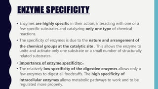 ENZYME SPECIFICITY
• Enzymes are highly specific in their action, interacting with one or a
few specific substrates and catalyzing only one type of chemical
reactions.
• The specificity of enzymes is due to the nature and arrangement of
the chemical groups at the catalytic site . This allows the enzyme to
unite and activate only one substrate or a small number of structurally
related substrates.
• Importance of enzyme specificity:-
• The relatively low specificity of the digestive enzymes allows only a
few enzymes to digest all foodstuffs. The high specificity of
intracellular enzymes allows metabolic pathways to work and to be
regulated more properly.
 