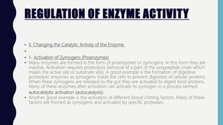 REGULATION OF ENZYME ACTIVITY
• II. Changing the Catalytic Activity of the Enzyme.
•
• 1- Activation of Zymogens (Proenzymes)
• Many enzymes are formed in the form of proenzymes or zymogens. In this form they are
inactive. Activation requires proteolysis (removal of a part of the polypeptide chain which
masks the active site or substrate site). A good example is the formation of digestive
proteolytic enzymes as zymogens inside the cells to prevent digestion of cellular proteins.
When these zymogens are released to the gut they are activated to digest food proteins.
Many of these enzymes after activation can activate its zymogen in a process termed
autocatalytic activation (autocatalysis).
• Another good example is the activation of different blood clotting factors. Many of these
factors are formed as zymogens and activated by specific proteases.
 