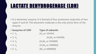 LACTATE DEHYDROGENASE (LDH)
• It is tetrameric enzyme. It is formed of four protomers (subunits) of two
types H and M. The tetrameric molecule is the only active form of the
enzyme
• Isozymes of LDH Type of subunits
• 1- I1 (H4 or HHHH)
• 2- I2 (H3M1 or HHHM)
• 3- I3 (H2M2 or HHMM)
• 4- I4 (H1M3 or HMMM)
• 5- I5 (M4 or MMMM)
 