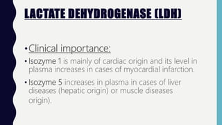 LACTATE DEHYDROGENASE (LDH)
•Clinical importance:
• Isozyme 1 is mainly of cardiac origin and its level in
plasma increases in cases of myocardial infarction.
• Isozyme 5 increases in plasma in cases of liver
diseases (hepatic origin) or muscle diseases
origin).
 