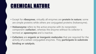 CHEMICAL NATURE
• Except for ribozymes, virtually all enzymes are protein in nature; some
are simple proteins while others are conjugated proteins (holoenzyme).
• Holoenzyme refers to the active enzyme with its nonprotein
component (cofactor), whereas the enzyme without its cofactor is
termed an apoenzyme and is inactive.
• Cofactors are organic or inorganic molecules that are required for the
activity of a certain conjugated enzymes. They participate in substrate
binding or catalysis.
 