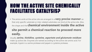 HOW THE ACTIVE SITE CHEMICALLY
FACILITATES CATALYSIS?
• The amino acids at the active site are arranged in a very precise manner so
that only specific substrate or inter-related substrates can bind at the active site. Also,
the shape and the chemical environment inside the active
site permit a chemical reaction to proceed more
easily.
Usually serine, histidine, cysteine, aspartate and glutamate residues
make up active site. Enzymes are named according to the active site amino acid. For
example, trypsin is a serine protease and papain is cysteine protease.
 