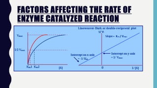 FACTORS AFFECTING THE RATE OF
ENZYME CATALYZED REACTION
 