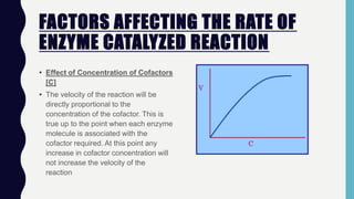 FACTORS AFFECTING THE RATE OF
ENZYME CATALYZED REACTION
• Effect of Concentration of Cofactors
[C]
• The velocity of the reaction will be
directly proportional to the
concentration of the cofactor. This is
true up to the point when each enzyme
molecule is associated with the
cofactor required. At this point any
increase in cofactor concentration will
not increase the velocity of the
reaction
 