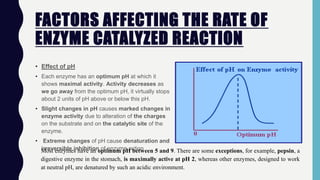 FACTORS AFFECTING THE RATE OF
ENZYME CATALYZED REACTION
• Effect of pH
• Each enzyme has an optimum pH at which it
shows maximal activity. Activity decreases as
we go away from the optimum pH, it virtually stops
about 2 units of pH above or below this pH.
• Slight changes in pH causes marked changes in
enzyme activity due to alteration of the charges
on the substrate and on the catalytic site of the
enzyme.
• Extreme changes of pH cause denaturation and
irreversible inhibition of enzyme action
Most enzymes have an optimum pH between 5 and 9. There are some exceptions, for example, pepsin, a
digestive enzyme in the stomach, is maximally active at pH 2, whereas other enzymes, designed to work
at neutral pH, are denatured by such an acidic environment.
 