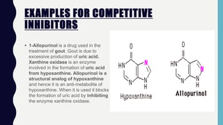 EXAMPLES FOR COMPETITIVE
INHIBITORS
• 1-Allopurinol is a drug used in the
treatment of gout. Gout is due to
excessive production of uric acid.
Xanthine oxidase is an enzyme
involved in the formation of uric acid
from hypoxanthine. Allopurinol is a
structural analog of hypoxanthine
and hence it is an anti-metabolite of
hypoxanthine. When it is used it blocks
the formation of uric acid by inhibiting
the enzyme xanthine oxidase.
 