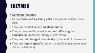 ENZYMES
• Common Features
• All are produced by living cells and can act outside these
cells.
• They are needed in very small amounts.
• They accelerate the reaction without affecting its
equilibrium (decrease energy of activation).
• They are not changed chemically by the end of the reaction.
• They are highly specific (act on a specific substrate or inter-
related substrates).
 