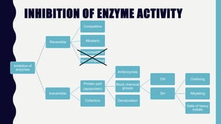 INHIBITION OF ENZYME ACTIVITY
Inhibition of
enzymes
Reversible
Competitive
Allosteric
Uncompetitive
Non compititive
Irreversible
Protein part
(apoprotein)
Antienzymes
Block chemical
groups
OH
SH
Oxidizing
Alkylating
Salts of heavy
metals
Denaturation
Cofactors
 