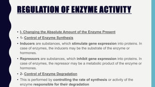 REGULATION OF ENZYME ACTIVITY
• I- Changing the Absolute Amount of the Enzyme Present
• 1- Control of Enzyme Synthesis
• Inducers are substances, which stimulate gene expression into proteins. In
case of enzymes, the inducers may be the substrate of the enzyme or
hormones.
• Repressors are substances, which inhibit gene expression into proteins. In
case of enzymes, the repressor may be a metabolic product of the enzyme or
hormones.
• 2- Control of Enzyme Degradation
• This is performed by controlling the rate of synthesis or activity of the
enzyme responsible for their degradation
 