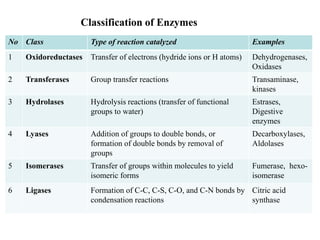 No Class Type of reaction catalyzed Examples
1 Oxidoreductases Transfer of electrons (hydride ions or H atoms) Dehydrogenases,
Oxidases
2 Transferases Group transfer reactions Transaminase,
kinases
3 Hydrolases Hydrolysis reactions (transfer of functional
groups to water)
Estrases,
Digestive
enzymes
4 Lyases Addition of groups to double bonds, or
formation of double bonds by removal of
groups
Decarboxylases,
Aldolases
5 Isomerases Transfer of groups within molecules to yield
isomeric forms
Fumerase, hexo-
isomerase
6 Ligases Formation of C-C, C-S, C-O, and C-N bonds by
condensation reactions
Citric acid
synthase
Classification of Enzymes
 