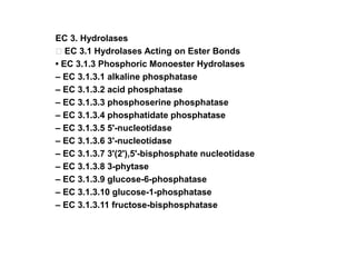 EC 3. Hydrolases
EC 3.1 Hydrolases Acting on Ester Bonds
• EC 3.1.3 Phosphoric Monoester Hydrolases
– EC 3.1.3.1 alkaline phosphatase
– EC 3.1.3.2 acid phosphatase
– EC 3.1.3.3 phosphoserine phosphatase
– EC 3.1.3.4 phosphatidate phosphatase
– EC 3.1.3.5 5'-nucleotidase
– EC 3.1.3.6 3'-nucleotidase
– EC 3.1.3.7 3'(2'),5'-bisphosphate nucleotidase
– EC 3.1.3.8 3-phytase
– EC 3.1.3.9 glucose-6-phosphatase
– EC 3.1.3.10 glucose-1-phosphatase
– EC 3.1.3.11 fructose-bisphosphatase
 