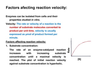 Factors afecting reaction velocity:
Enzymes can be isolated from cells and their
properties studied in vitro.
Velocity: The rate or velocity of a reaction is the
number of substrate molecules converted to
product per unit time, velocity is usually
expressed as µmol of product formed per
minute.
Factors affecting reaction velocity:
1. Substrate concentration:
The rate of an enzyme-catalyzed reaction
increases with increasing substrate
concentration until a maximal velocity is
reached. The plot of initial reaction velocity
against substrate concentration is hyperbolic.
[S]
Rate
 