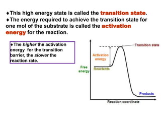 This high energy state is called the transition state.
The energy required to achieve the transition state for
one mol of the substrate is called the activation
energy for the reaction.
The higher the activation
energy for the transition
barrier, the slower the
reaction rate.
 