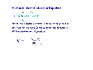 Michaelis-Menten Model or Equation
k1 k3
E + S  E●S  E+ P
k2
From this kinetic scheme, a relationship can be
derived for the rate or velocity of the reaction:
Michaelis-Menten Equation
Vmax[S]
[S] + Km
V =
 