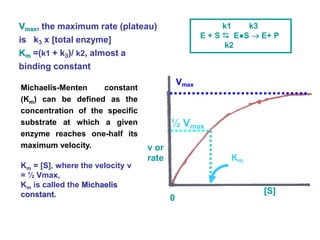v or
rate
[S]
Vmax
Km
½ Vmax
0
Vmax, the maximum rate (plateau)
is k3 x [total enzyme]
Km =(k1 + k3)/ k2, almost a
binding constant
Michaelis-Menten constant
(Km) can be defined as the
concentration of the specific
substrate at which a given
enzyme reaches one-half its
maximum velocity.
Km = [S], where the velocity v
= ½ Vmax,
Km is called the Michaelis
constant.
k1 k3
E + S  E●S  E+ P
k2
 