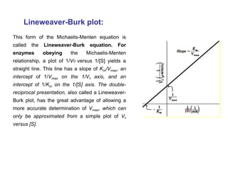Lineweaver-Burk plot:
This form of the Michaelis-Menten equation is
called the Lineweaver-Burk equation. For
enzymes obeying the Michaelis-Menten
relationship, a plot of 1/V0 versus 1/[S] yields a
straight line. This line has a slope of Km/Vmax, an
intercept of 1/Vmax on the 1/V0 axis, and an
intercept of 1/Km on the 1/[S] axis. The double-
reciprocal presentation, also called a Lineweaver-
Burk plot, has the great advantage of allowing a
more accurate determination of Vmax, which can
only be approximated from a simple plot of V0
versus [S].
 