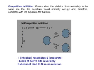 I (inhibitor) resembles S (substrate)
I binds at active site reversibly
E●I cannot bind to S so no reaction
Competitive inhibition: Occurs when the inhibitor binds reversibly to the
same site that the substrate would normally occupy and, therefore,
competes with the substrate for that site.
 