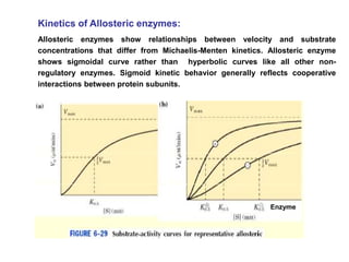 Kinetics of Allosteric enzymes:
Allosteric enzymes show relationships between velocity and substrate
concentrations that differ from Michaelis-Menten kinetics. Allosteric enzyme
shows sigmoidal curve rather than hyperbolic curves like all other non-
regulatory enzymes. Sigmoid kinetic behavior generally reflects cooperative
interactions between protein subunits.
Enzyme
 