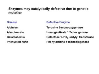 Enzymes may catalytically defective due to genetic
mutation
Disease Defective Enzyme
Albinism Tyrosine 3-monooxygenase
Alkaptonuria Homogentisate 1,2-dioxigenase
Galactosemia Galactose 1-PO4 uridylyl transferase
Phenylketonuria Phenylalanine 4-monooxigenase
 