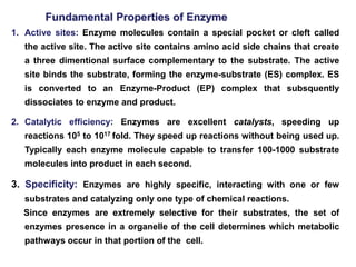 1. Active sites: Enzyme molecules contain a special pocket or cleft called
the active site. The active site contains amino acid side chains that create
a three dimentional surface complementary to the substrate. The active
site binds the substrate, forming the enzyme-substrate (ES) complex. ES
is converted to an Enzyme-Product (EP) complex that subsquently
dissociates to enzyme and product.
2. Catalytic efficiency: Enzymes are excellent catalysts, speeding up
reactions 105 to 1017 fold. They speed up reactions without being used up.
Typically each enzyme molecule capable to transfer 100-1000 substrate
molecules into product in each second.
3. Specificity: Enzymes are highly specific, interacting with one or few
substrates and catalyzing only one type of chemical reactions.
Since enzymes are extremely selective for their substrates, the set of
enzymes presence in a organelle of the cell determines which metabolic
pathways occur in that portion of the cell.
Fundamental Properties of Enzyme
 