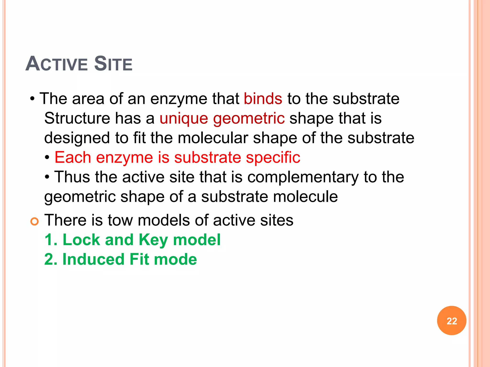 ACTIVE SITE
• The area of an enzyme that binds to the substrate
Structure has a unique geometric shape that is
designed to fit the molecular shape of the substrate
• Each enzyme is substrate specific
• Thus the active site that is complementary to the
geometric shape of a substrate molecule
 There is tow models of active sites
1. Lock and Key model
2. Induced Fit mode
22
 