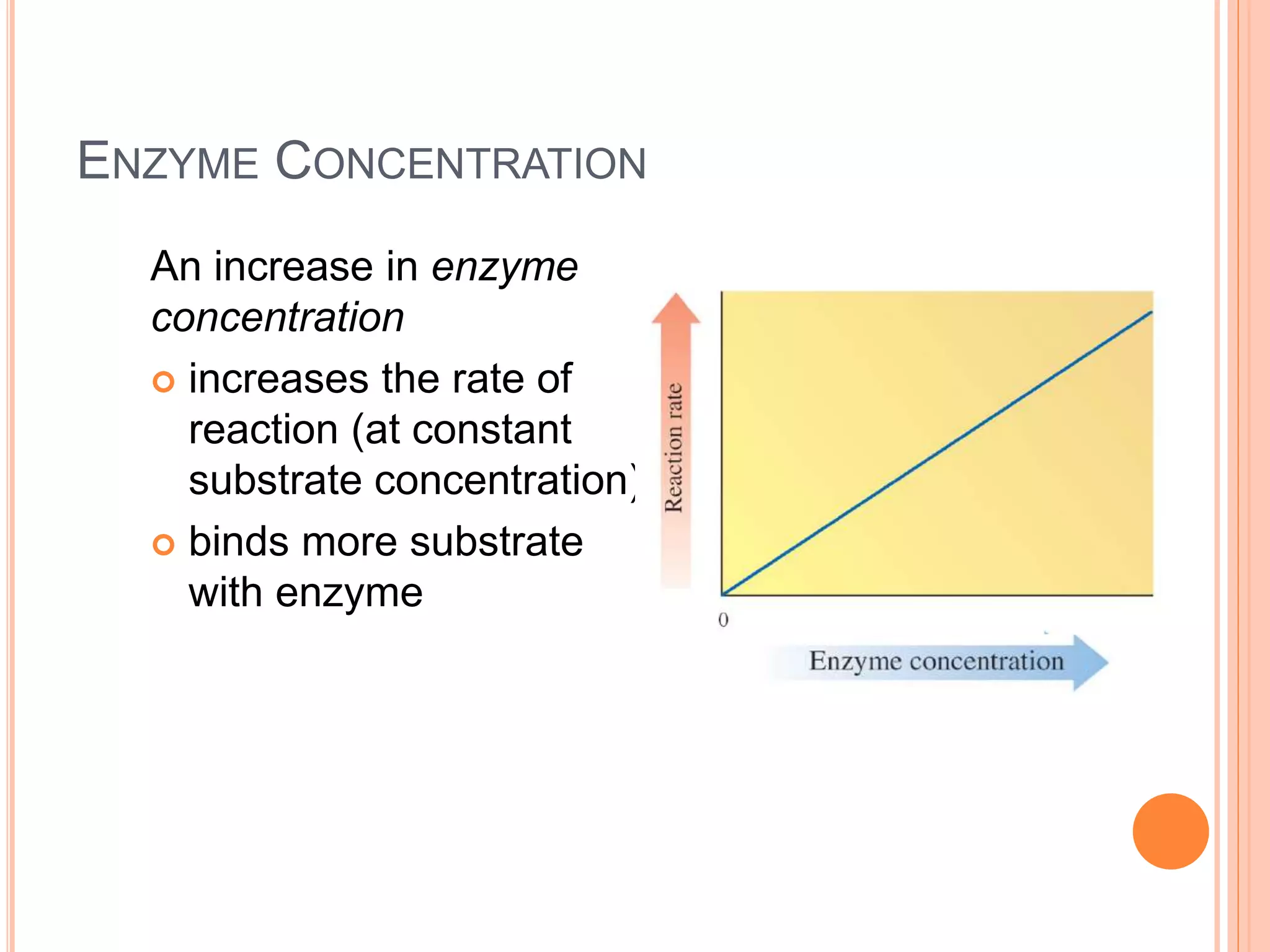 38
ENZYME CONCENTRATION
An increase in enzyme
concentration
 increases the rate of
reaction (at constant
substrate concentration)
 binds more substrate
with enzyme
 