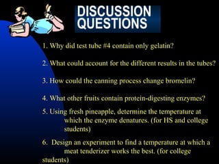 DISCUSSION
QUESTIONS
1. Why did test tube #4 contain only gelatin?
2. What could account for the different results in the tubes?
3. How could the canning process change bromelin?
4. What other fruits contain protein-digesting enzymes?
5. Using fresh pineapple, determine the temperature at
which the enzyme denatures. (for HS and college
students)
6. Design an experiment to find a temperature at which a
meat tenderizer works the best. (for college
students)

 