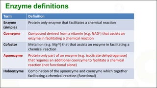 Biochemistry of Enzymes and Coenzymes.pptx