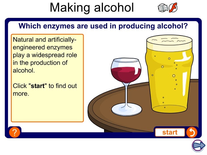 Enzymes and digestion