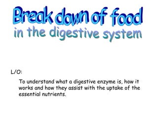 Break down of food  in the digestive system ,[object Object],[object Object]