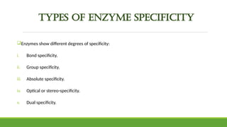 Group Specificity Example Comprehensive Overview of Enzymes and Enzymatic Reactions in ...