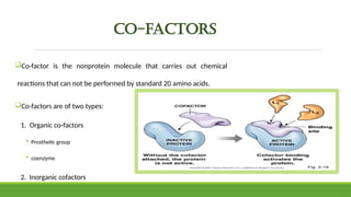 Comprehensive Overview of Enzymes and Enzymatic Reactions in ...