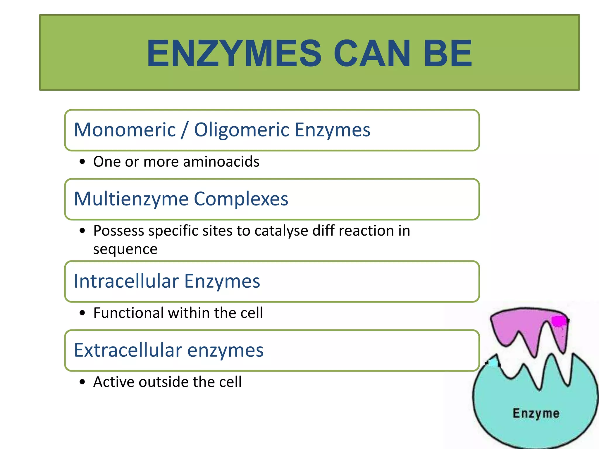 Enzymes and enzyme inhibition PPT