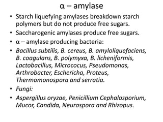 α – amylase
• Starch liquefying amylases breakdown starch
polymers but do not produce free sugars.
• Saccharogenic amylases produce free sugars.
• α – amylase producing bacteria:
• Bacillus subtilis, B. cereus, B. amyloliquefaciens,
B. coagulans, B. polymyxa, B. licheniformis,
Lactobacillus, Micrococus, Pseudomonas,
Arthrobacter, Eschericha, Proteus,
Thermomonospora and serratia.
• Fungi:
• Aspergillus oryzae, Penicillium Cephalosporium,
Mucor, Candida, Neurospora and Rhizopus.
 