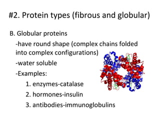 B. Globular proteins -have round shape (complex chains folded into complex configurations) -water soluble -Examples: 1. enzymes-catalase 2. hormones-insulin 3. antibodies-immunoglobulins #2. Protein types (fibrous and globular) 