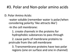 D. Polar Amino Acids: -water soluble (remember water is polar/when considering polarity ‘like attracts like’) -In the cell membrane: 1. create channels in the proteins for    hydrophobic substances to pass through 2. cause parts of membrane proteins to  protrude from the cell membrane 3. Transmembrane proteins have two polar  regions (one on surface and one in channel) #3. Polar and Non-polar amino acids 