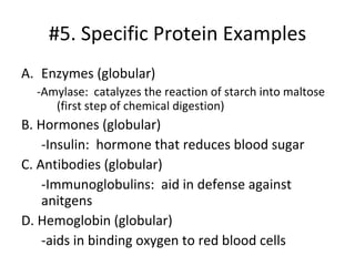 #5. Specific Protein Examples Enzymes (globular) -Amylase:  catalyzes the reaction of starch into maltose (first step of chemical digestion) B. Hormones (globular) -Insulin:  hormone that reduces blood sugar C. Antibodies (globular) -Immunoglobulins:  aid in defense against anitgens D. Hemoglobin (globular) -aids in binding oxygen to red blood cells 