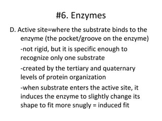 D. Active site=where the substrate binds to the enzyme (the pocket/groove on the enzyme) -not rigid, but it is specific enough to recognize only one substrate -created by the tertiary and quaternary levels of protein organization -when substrate enters the active site, it induces the enzyme to slightly change its shape to fit more snugly = induced fit #6. Enzymes 