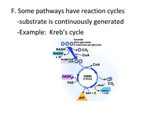F. Some pathways have reaction cycles -substrate is continuously generated -Example:  Kreb’s cycle 