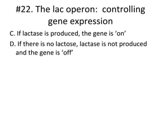 C. If lactase is produced, the gene is ‘on’ D. If there is no lactose, lactase is not produced and the gene is ‘off’ #22. The lac operon:  controlling gene expression 