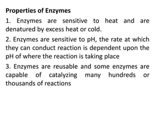 ENZYMES AND PROTEINS.pptx