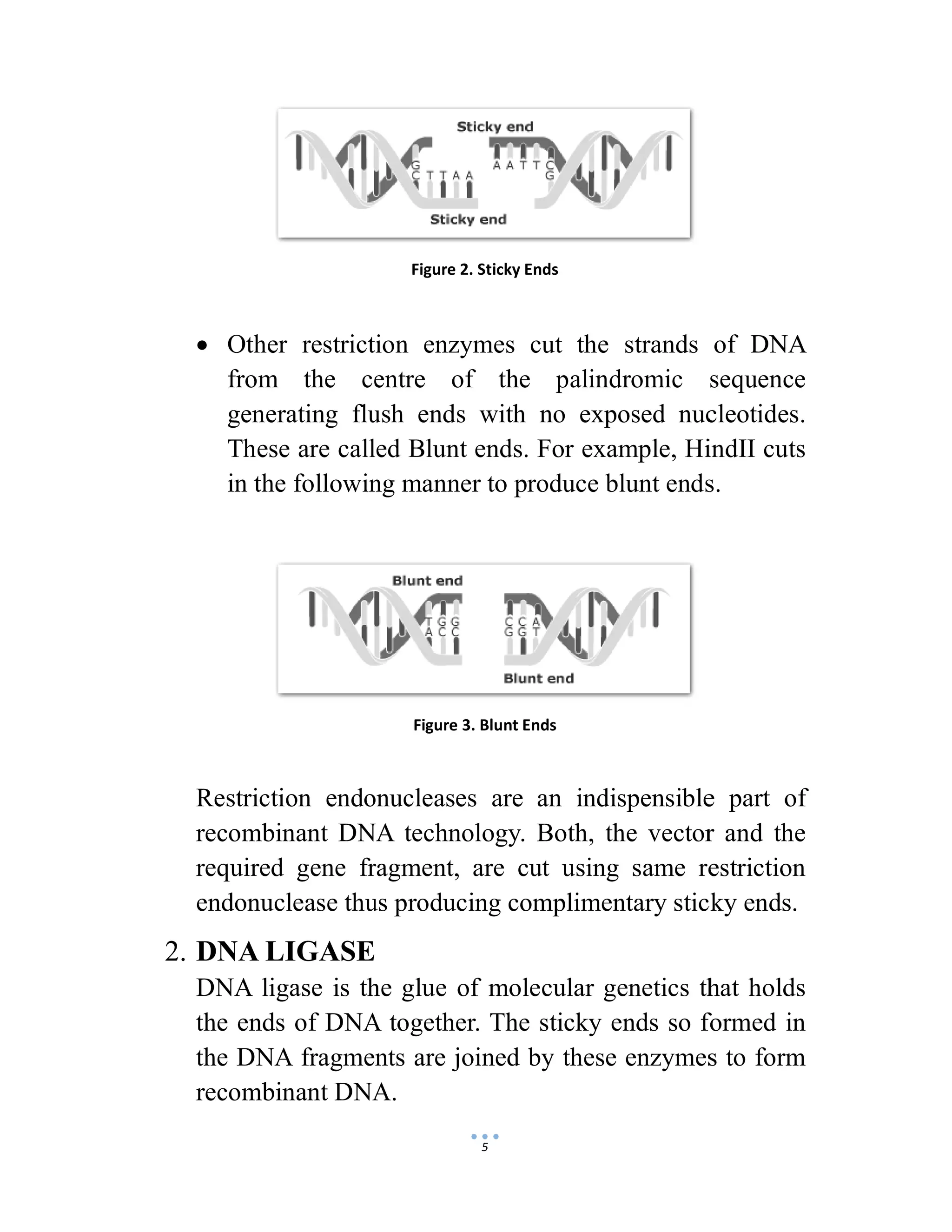 Enzymes and r DNA technology | PDF