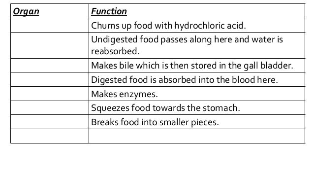 AS-U1-2.1-Enzymes and the digestive system