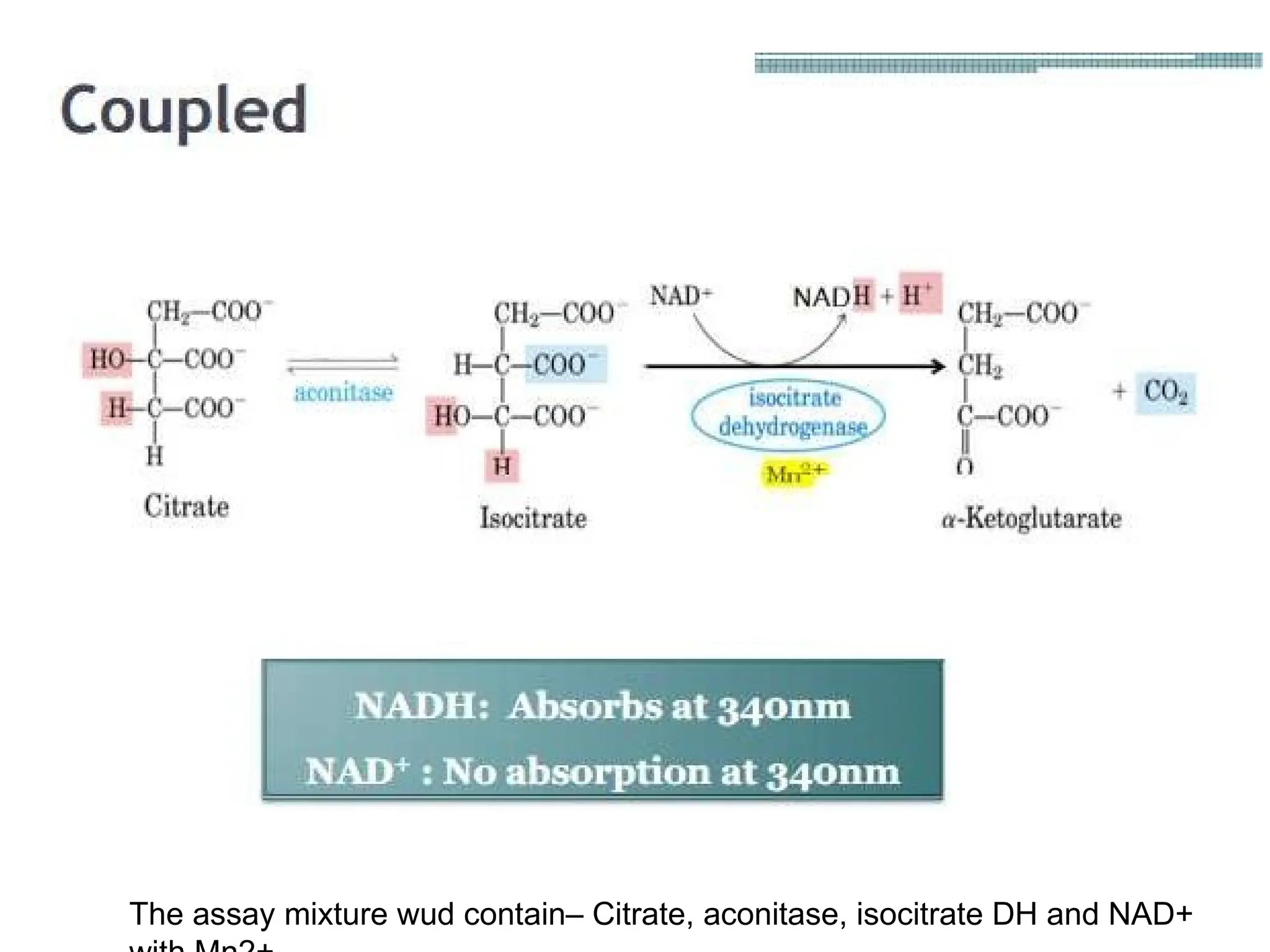 The assay mixture wud contain– Citrate, aconitase, isocitrate DH and NAD+
 