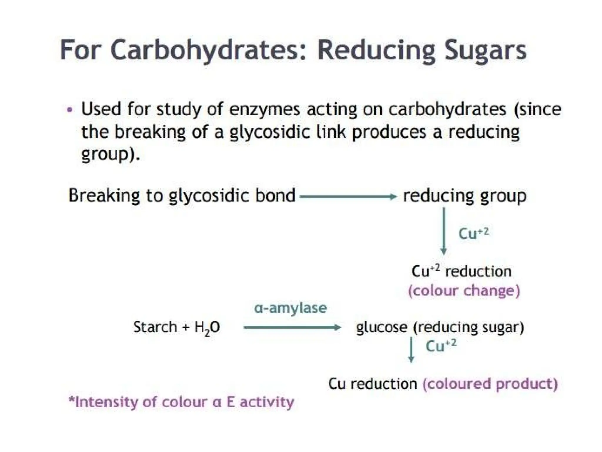 enzymesassay methods for enzyme analysis