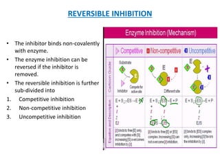 Enzymes b.pharm | PPTX