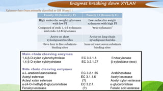 Enzymes breaking down XYLAN
Xylanases have been primarily classified as GH 10 and 11
 